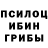 Псилоцибиновые грибы прущие грибы Maisy Hobbs