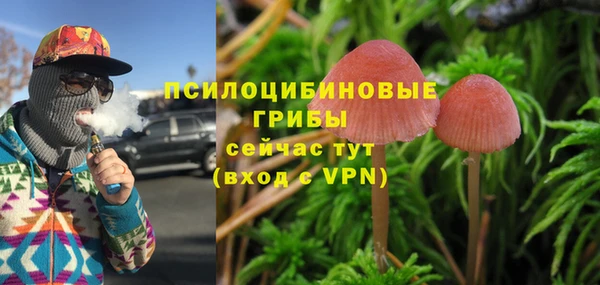 а пвп мука Пересвет