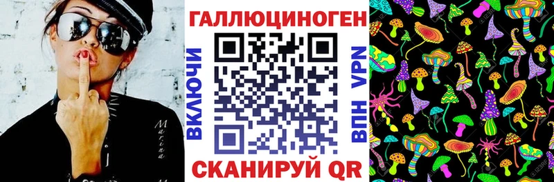Псилоцибиновые грибы прущие грибы  где найти наркотики  Чекалин 
